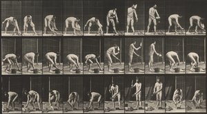 Číslo desky 506. Zednické práce,1887 (foto) od Eadweard Muybridge