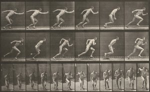  od Eadweard Muybridge
