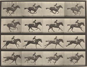 Číslo talíře 626. Cval, plnokrevná klisna hnědáka, Annie G. od Eadweard Muybridge
