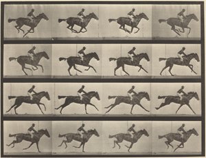 Tabule číslo 626. Cval, plnokrevná hnědka, Annie G. od Eadweard Muybridge