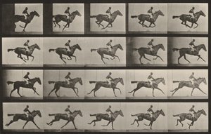 Tabulka číslo 627. „Annie G.“ ve cvalu od Eadweard Muybridge
