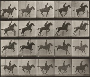 Tabulka číslo 639. „Daisy“ skáče přes překážku, osedlaná od Eadweard Muybridge