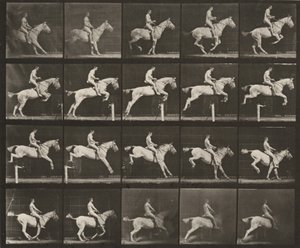 Tabulka číslo 642. „Pandora“ skáče přes překážku, osedlaná; jezdec nahý od Eadweard Muybridge