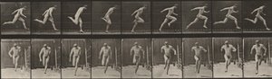  od Eadweard Muybridge