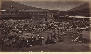 Náměstí a místokrálovský palác - Antigua de Guatemala, 1877 (foto) od Eadweard Muybridge