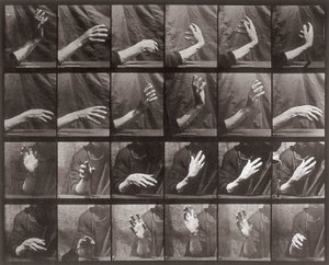 Sekvence s pohybem ruky, deska 535 od Animal Locomotion (kolotyp) od Eadweard Muybridge