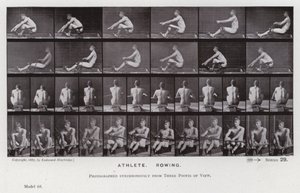 Lidská postava v pohybu: Sportovec, Veslování (č/b foto) od Eadweard Muybridge