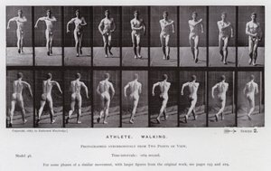 Lidská postava v pohybu: Sportovec, chůze (č/b foto) od Eadweard Muybridge
