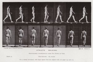 Lidská postava v pohybu: Sportovec, chůze (č/b foto) od Eadweard Muybridge