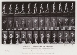 Lidská postava v pohybu: Sportovec, stoupá po svahu (černobílá fotografie) od Eadweard Muybridge