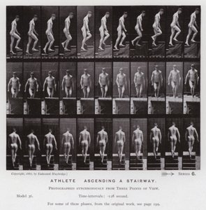 Lidská postava v pohybu: Sportovec, stoupá po schodech (černobílá fotografie) od Eadweard Muybridge