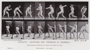 Lidská postava v pohybu: Sportovec, chytání a házení na baseball (černobílá fotografie) od Eadweard Muybridge