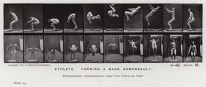 Závěsný od Eadweard Muybridge