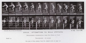 Závěsný od Eadweard Muybridge