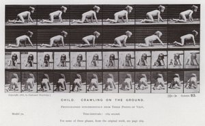 Lidská postava v pohybu: Dítě, plazící se po zemi od Eadweard Muybridge