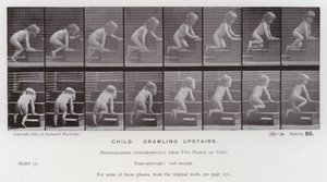 Lidská postava v pohybu: Dítě, plazící se nahoru (č/b foto) od Eadweard Muybridge