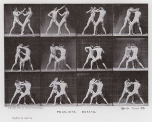 Lidská postava v pohybu: Pugilists, Box (č/b foto) od Eadweard Muybridge