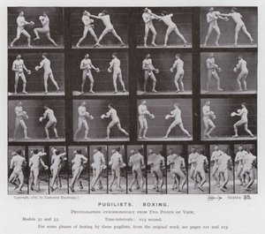 Lidská postava v pohybu: Pugilists, Box (č/b foto) od Eadweard Muybridge