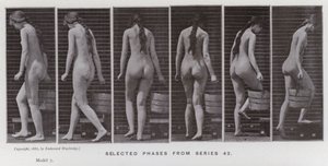 Lidská postava v pohybu: Vybrané fáze ze série 42 (černobílá fotografie) od Eadweard Muybridge