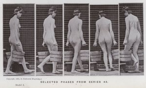 Lidská postava v pohybu: Vybrané fáze ze série 43 (černobílá fotografie) od Eadweard Muybridge