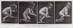 Lidská postava v pohybu: Vybrané fáze ze série 86 (černobílá fotografie) od Eadweard Muybridge