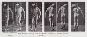 Lidská postava v pohybu: Některé fáze chůze sportovce nesoucího 75 liber těžký balvan (černobílá fotografie) od Eadweard Muybridge