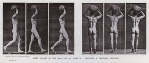Lidská postava v pohybu: Některé fáze chůze sportovce nesoucího 75 liber těžký balvan (černobílá fotografie) od Eadweard Muybridge