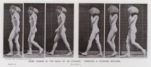 Lidská postava v pohybu: Některé fáze chůze sportovce nesoucího 75 liber těžký balvan (černobílá fotografie) od Eadweard Muybridge
