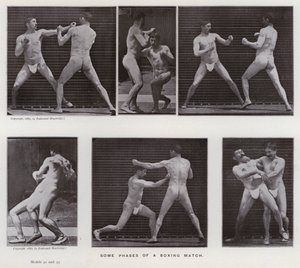Závěsný od Eadweard Muybridge