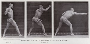 Lidská figura v pohybu: Některé fáze úderu pugilisty (černobílá fotografie) od Eadweard Muybridge