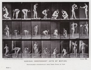 Lidská postava v pohybu: Různé nezávislé pohyby (černobílá fotografie) od Eadweard Muybridge