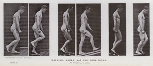 Lidská postava v pohybu: Chůze za různých podmínek (černobílá fotografie) od Eadweard Muybridge