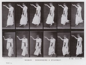 Závěsný od Eadweard Muybridge