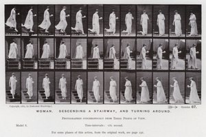 Lidská postava v pohybu: Žena sestupuje ze schodů a otáčí se (č/b foto) od Eadweard Muybridge