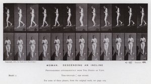 Závěsný od Eadweard Muybridge