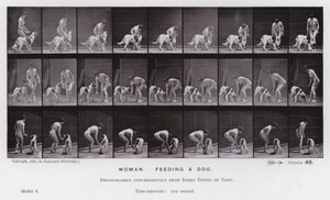 Lidská postava v pohybu: Žena krmící psa (č/b foto) od Eadweard Muybridge