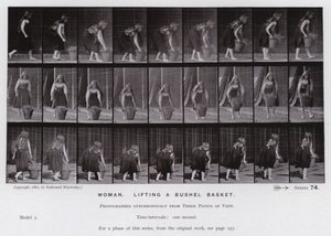 Lidská postava v pohybu: Žena zvedá košíček (černobílá fotografie) od Eadweard Muybridge
