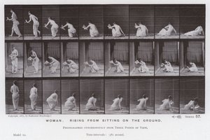 Závěsný od Eadweard Muybridge