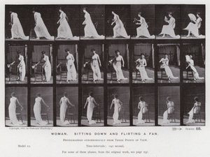 Závěsný od Eadweard Muybridge