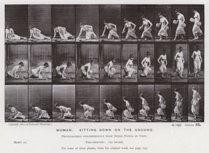 Závěsný od Eadweard Muybridge