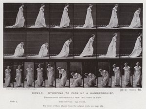 Lidská postava v pohybu: Žena se sklání, aby zvedla kapesník (černobílá fotografie) od Eadweard Muybridge