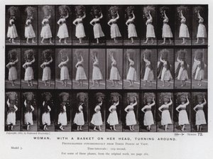 Závěsný od Eadweard Muybridge