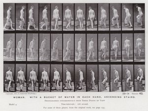 Lidská postava v pohybu: Žena s kbelíkem vody v každé ruce, stoupá po schodech od Eadweard Muybridge