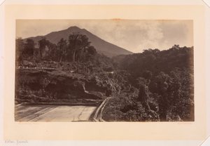 Sopka Zunil, Guatemala od Eadweard Muybridge