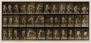 Žena vyprazdňující nádrž s vodou, z knihy Pohyb zvířat od Eadweard Muybridge