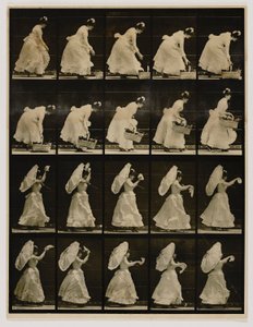 Žena zvedající koš a mávající kapesníkem, z knihy Animal Locomotion (Pohyb zvířat) od Eadweard Muybridge