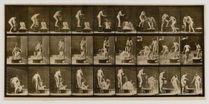 Žena, která vylévá mísu s vodou na hlavu jiné ženy, z knihy Animal Locomotion (Pohyb zvířat) od Eadweard Muybridge