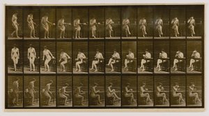 Žena vsedě, se zkříženýma nohama, pije ze šálku, z knihy Animal Locomotion (Pohyb zvířat) od Eadweard Muybridge