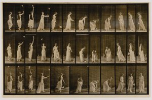 Žena házející kapesník do vzduchu a zvedající ho, z knihy Animal Locomotion (Pohyb zvířat) od Eadweard Muybridge