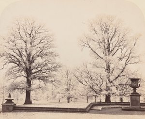 Jinovatka, parková scéna, 1862. od Earl of Caithness James Sinclair